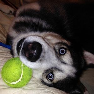 Meet your Posher, Candace